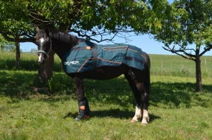 ein schwarzes Pferd steht mit gespitzten Ohren auf einer Wiese und trägt das Bemer Horse Set bestehend aus Decke und Gamaschen.