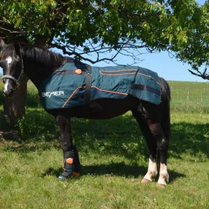 ein schwarzes Pferd steht mit gespitzten Ohren auf einer Wiese und trägt das Bemer Horse Set bestehend aus Decke und Gamaschen.